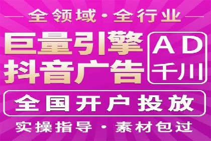 某电商平台的SEM广告投放策略及效果评估